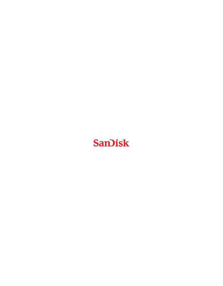 SANDISK DISQUE DUR SSD PLUS
